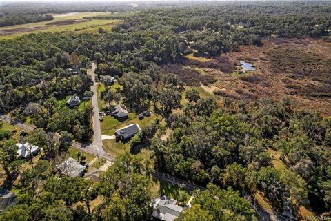 Land in Inverness, Florida № 2160324 - photo 11