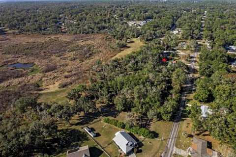 Land in Inverness, Florida № 2160324 - photo 4