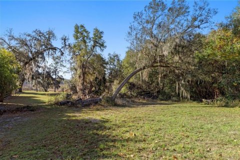 Land in Inverness, Florida № 2160324 - photo 14