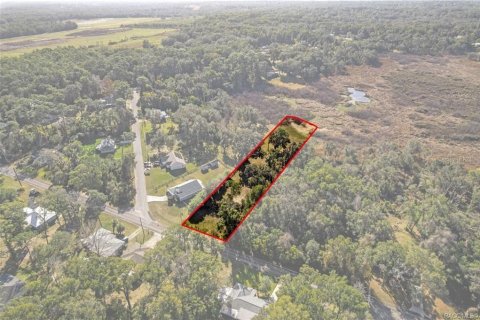 Land in Inverness, Florida № 2160324 - photo 12