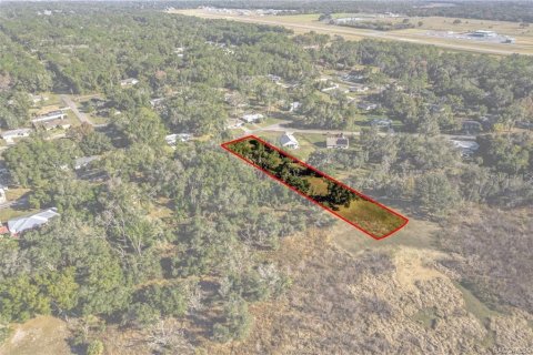 Land in Inverness, Florida № 2160324 - photo 9
