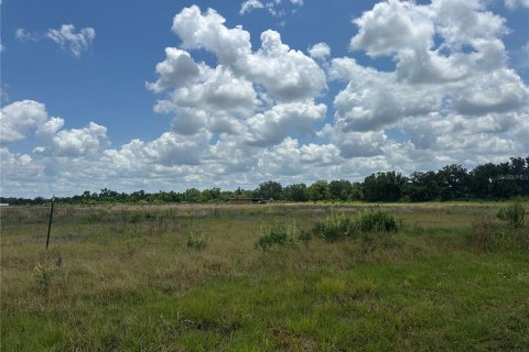 Terreno en venta en Wauchula, Florida № 1675021 - foto 2