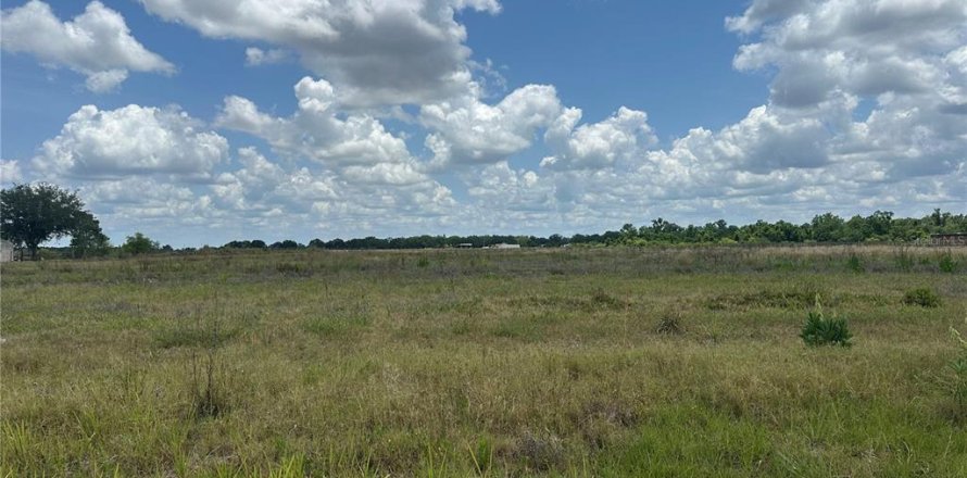 Terreno en Wauchula, Florida № 1675021