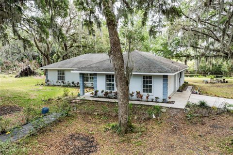 Villa ou maison à vendre à Leesburg, Floride: 3 chambres, 151.24 m2 № 1625062 - photo 1