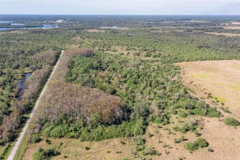 Land in Alva, Florida № 1533867 - photo 4