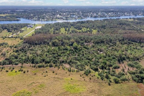 Land in Alva, Florida № 1533867 - photo 6