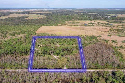 Land in Alva, Florida № 1533867 - photo 1