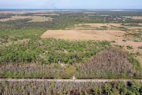 Land in Alva, Florida № 1533867 - photo 2