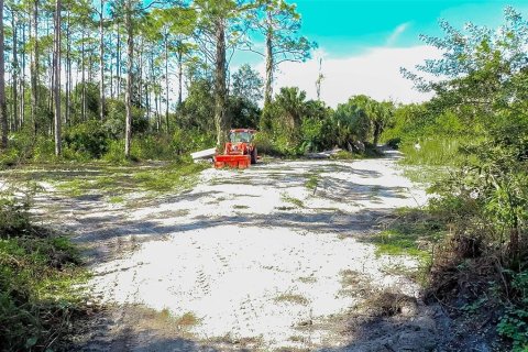 Land in Alva, Florida № 1533867 - photo 10
