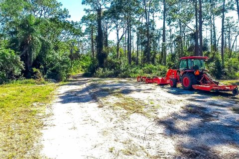 Land in Alva, Florida № 1533867 - photo 12