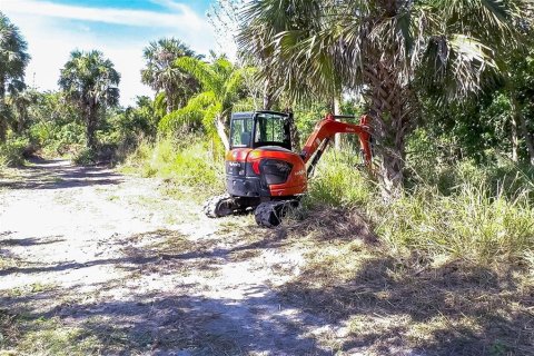 Land in Alva, Florida № 1533867 - photo 11