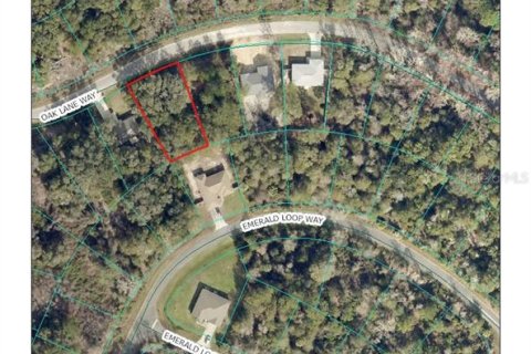 Land in Ocala, Florida № 2371522