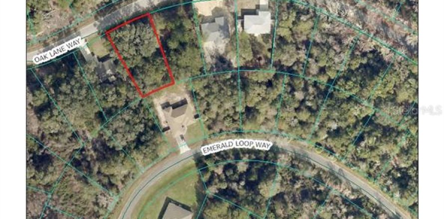 Land in Ocala, Florida № 2371522