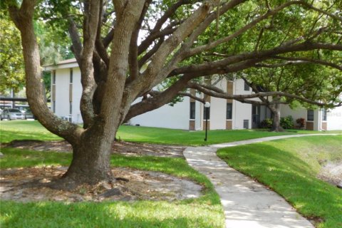 Copropriété à louer à Palm Harbor, Floride: 2 chambres, 92.9 m2 № 1586218 - photo 21