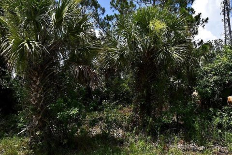 Terrain à North Port, Floride № 2212081