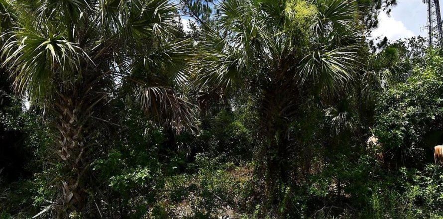 Land in North Port, Florida № 2212081