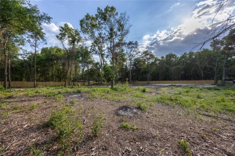Terrain à vendre à Keystone Heights, Floride № 2165767 - photo 5