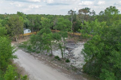 Terrain à vendre à Keystone Heights, Floride № 2165767 - photo 4