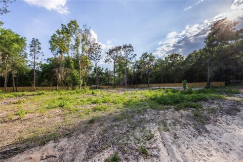 Terrain à Keystone Heights, Floride № 2165767