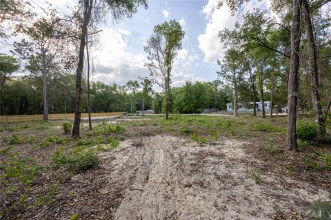 Terrain à vendre à Keystone Heights, Floride № 2165767 - photo 6