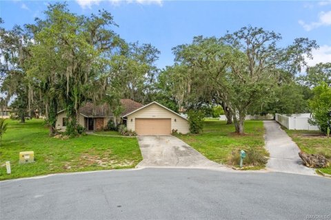 Villa ou maison à Inverness, Floride 2 chambres, 215.07 m2 № 2091789