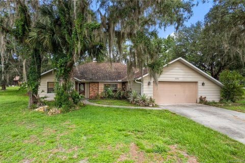 Villa ou maison à vendre à Inverness, Floride: 2 chambres, 215.07 m2 № 2091789 - photo 2