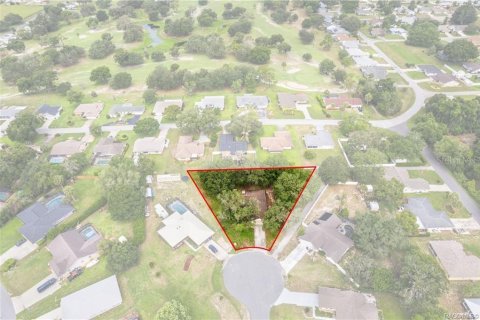 Villa ou maison à vendre à Inverness, Floride: 2 chambres, 215.07 m2 № 2091789 - photo 4