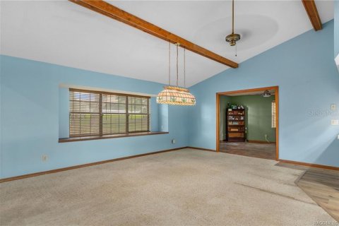 Villa ou maison à vendre à Inverness, Floride: 2 chambres, 215.07 m2 № 2091789 - photo 20