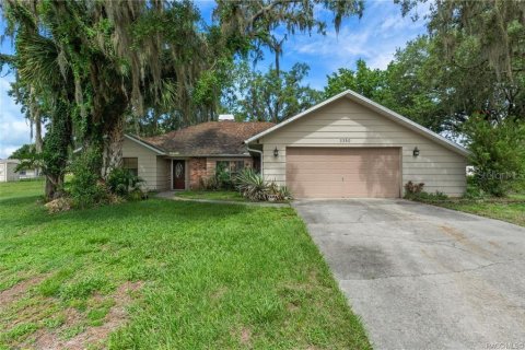 Villa ou maison à vendre à Inverness, Floride: 2 chambres, 215.07 m2 № 2091789 - photo 9