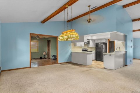 Villa ou maison à vendre à Inverness, Floride: 2 chambres, 215.07 m2 № 2091789 - photo 21