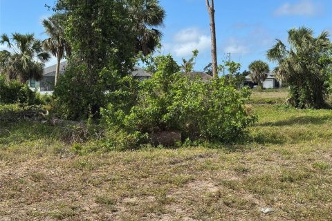 Terreno en venta en Rotonda, Florida № 1609371 - foto 3