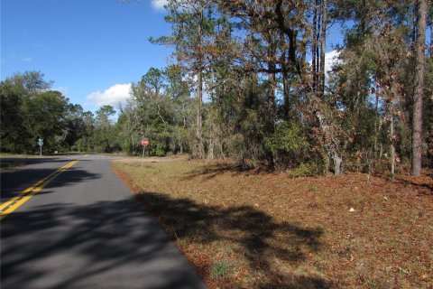 Land in Ocala, Florida № 2165343 - photo 3