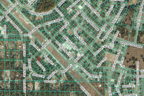 Land in Ocala, Florida № 2165343 - photo 8