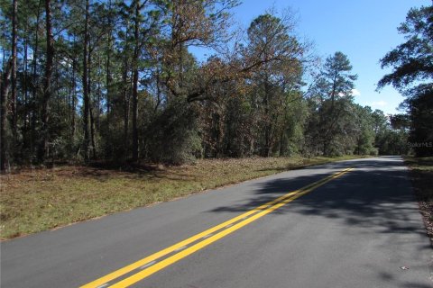 Land in Ocala, Florida № 2165343 - photo 2