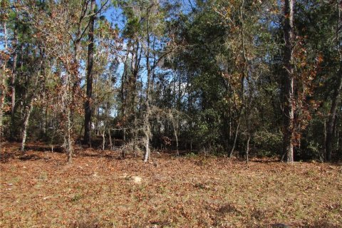 Land in Ocala, Florida № 2165343