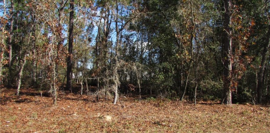 Land in Ocala, Florida № 2165343