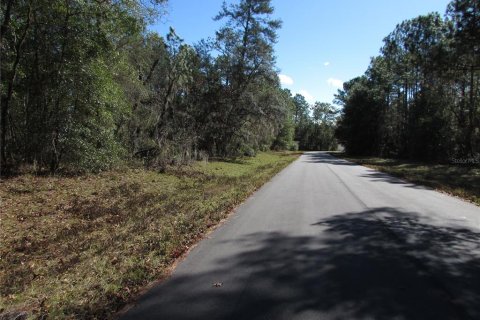 Land in Ocala, Florida № 2165343 - photo 11
