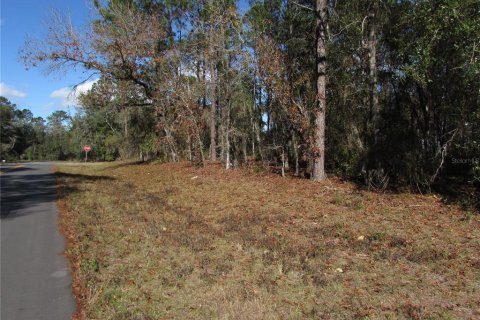 Land in Ocala, Florida № 2165343 - photo 10