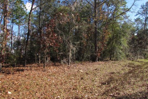 Land in Ocala, Florida № 2165343 - photo 4