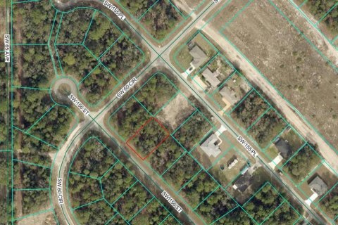 Land in Ocala, Florida № 2165343 - photo 6