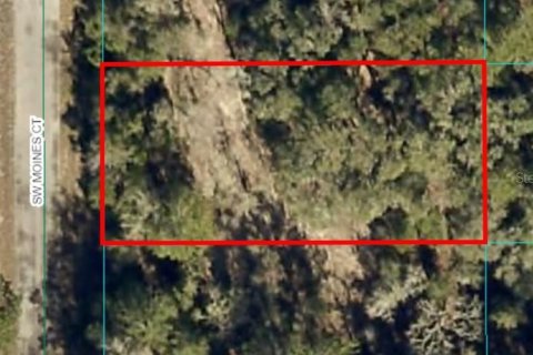 Land in Dunnellon, Florida № 2165252 - photo 2