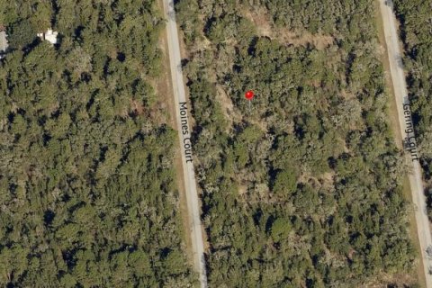 Land in Dunnellon, Florida № 2165252 - photo 8