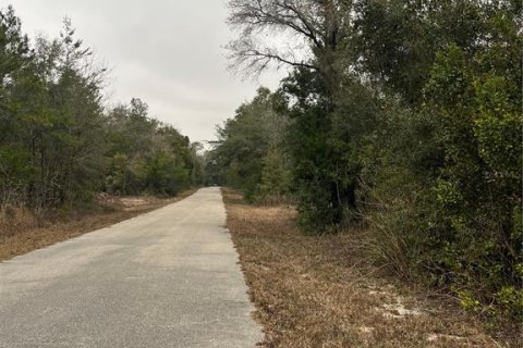 Land in Dunnellon, Florida № 2165252 - photo 11