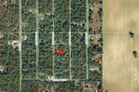 Land in Dunnellon, Florida № 2165252 - photo 3