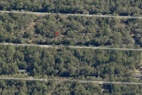 Land in Dunnellon, Florida № 2165252 - photo 7