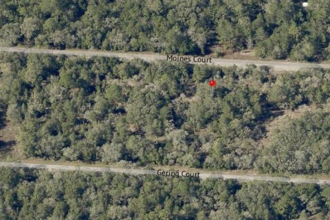Land in Dunnellon, Florida № 2165252 - photo 9