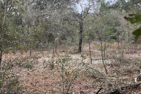 Land in Dunnellon, Florida № 2165252 - photo 4