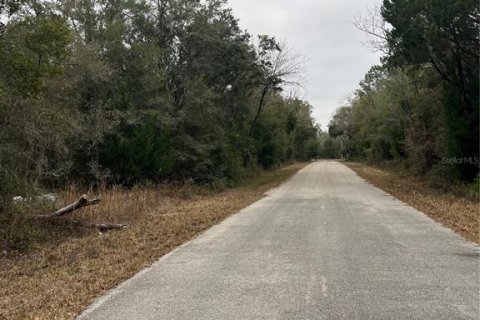 Land in Dunnellon, Florida № 2165252 - photo 10