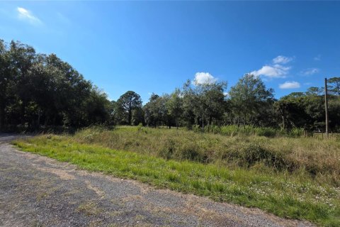 Immobilier commercial à vendre à Clewiston, Floride № 2082536 - photo 2