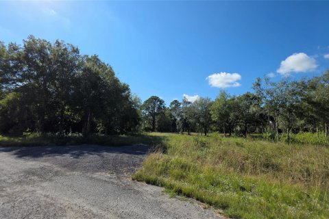 Immobilier commercial à vendre à Clewiston, Floride № 2082536 - photo 16